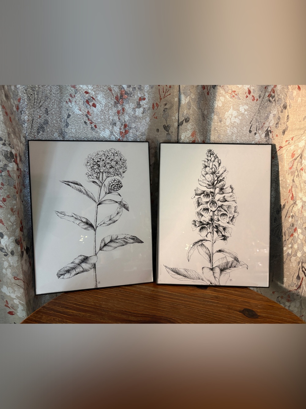 Botanical Sketch Wall Art Set in Black and White by see image of initials